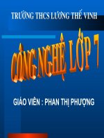 slide bài giảng công nghệ lớp 7 tiết 10 sâu bệnh hại cây trồng 