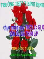 slide bài giảng công nghệ lớp 6 tiết 64 chi tiêu trong gia đình 