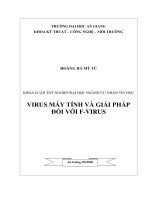 Virus máy tính và giải pháp đối với f virus 