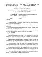 10. Chương trình đào tạo ngành Công nghệ kỹ thuật hóa học, bậc đại học