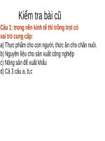 slide bài giảng công nghệ lớp 7 tiết 01 khái niệm về đất trong thành phần của đất trống 