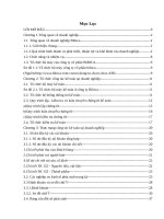 Công ty cổ phần bánh kẹo Bibica (Có sổ excel)