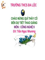slide bài giảng công nghệ lớp 9 tiết 06 thực hành giâm cây 