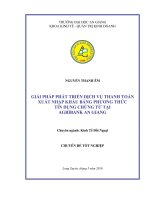 Giải pháp phát triển dịch vụ thanh toán xuất nhập khẩu bằng phương thức tín dụng chứng từ tại agribank an giang 