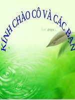 slide bài giảng công nghệ lớp 7 tiết 25 trồng cây rừng 