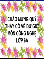 slide bài giảng công nghệ lớp 6 tiết 19 sắp xếp hợp lý đồ đạc trong gia đình 