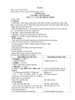 GIAO AN TUAN 1 LOP 3