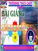 slide bài giảng công nghệ lớp 8 tiết 34 thực hành cứu người bị tai nạn điện 