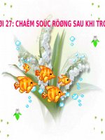 slide bài giảng công nghệ lớp 7 tiết 28 chắc sóc rừng sau khi trồng 