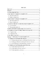 Người mỹ da đen trong cảm quan nghệ thuật của các nữ văn sĩ mỹ 