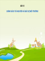 Giáo dục công dân 11 - Bài 12: CHÍNH SÁCH BẢO VỆ MÔI TRƯỜNG VÀ TÀI NGUYÊN THIÊN NHIÊN