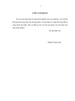 Đưa một số làn điệu dân ca nam bộ vào chương trình đào tạo ngành sư phạm âm nhạc tại trường đại học an giang 