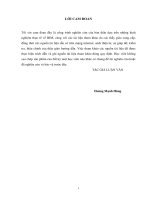 (Luận văn thạc sĩ) Nghiên cứu ứng dụng mô hình BIM trong công tác quản lý dự án xây dựng công trình tại tỉnh Thái Bình