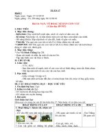 Giáo án - tuần 17