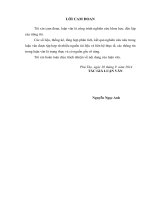 Một số giải pháp huy động nguồn lực tài chính cho phát triển kinh tế xã hội thành phố Việt Trì tỉnh Phú Thọ đến năm 2020