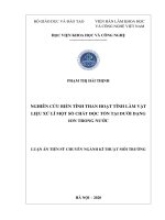 Nghiên cứu biến tính than hoạt tính làm vật liệu xử lý một số chất độc tồn tại dưới dạng ion trong nước 