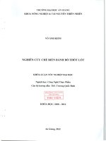 Nghiên cứu chế biến bánh bò thốt lốt 