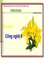slide bài giảng công nghệ lớp 8 tiết 23 mối ghép cố định mối ghép không tháo được 
