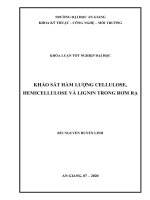 Khảo sát hàm lượng cellulose hemicellulose và lignin trong rơm rạ 