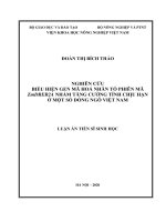 Luận án tiến sĩ nghiên cứu biểu hiện gen mã hoá nhân tố phiên mã ZmDREB2A nhằm tăng cường tính chịu hạn ở một số 