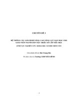 Hệ thống các giải pháp nâng cao năng lực dạy học cho giáo viên người dân tộc thiểu số cấp tiểu học 