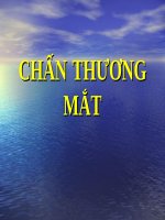 CHẤN THƯƠNG mắt (NHÃN KHOA) 