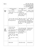 giáo án tuần 2. Chủ đề: trường mầm non. Nhánh: trường mầm non của bé