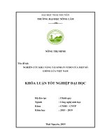 Luận văn tốt nghiệp nghiên cứu khả năng tái sinh in vitro của một số giống lúa việt nam 