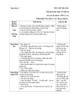 Giáo án phụ chủ đề Bản Thân. Nhanh Tôi là ai