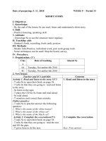 Giáo án Tiếng Anh Lớp 4 - Tuần 9