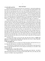 Nghiên cứu một số cơ sở khoa học trồng rừng thâm canh bạch đàn chu kỳ sau ở vùng trung tâm bắc bộ TT 