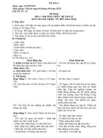 Giáo án Mĩ thuật 1 3 5 - Kĩ thuật lớp 4 5 - Thủ công 2 3 Tuần 1 (2020 - 2021)