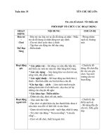 Giáo án phụ chủ đề trường tiểu học. Nhánh tết thiếu nhi