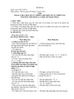 Giáo án lớp 5. Tuần 14 (năm học 2019-2020)