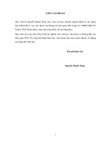 (Luận văn thạc sĩ) Hoàn thiện công tác quản lý các dự án đầu tư xây dựng tại công ty TNHH một thành viên SUDICO Tiến Xuân