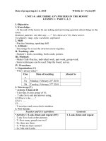 Giáo án Tiếng Anh lớp 3 - Tuần 23