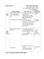 giáo án tuần thứ 25 chủ đề cây và những bông hoa đẹp nhánh ngày hội của mẹ