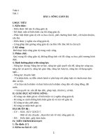 Giáo án Giáo dục công dân 7  soạn theo cv 5512 và cv 3280 mới (trọn bộ)