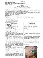 giáo án Mĩ thuật - kĩ thuật - Thủ công lớp 1 2 3 4 5 - Tuần 20 (2020 - 2021)