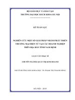 Nghiên cứu một số giải pháp nhằm phát triển thương mại điện tử tại các doanh nghiệp trên địa bàn tỉnh Nam Định