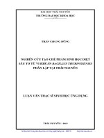 Luận văn thạc sĩ nghiên cứu tạo chế phẩm sinh học diệt sâu tơ từ vi khuẩn bacillus thuringiensis phân lập 