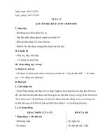 Giáo án Âm Nhạc