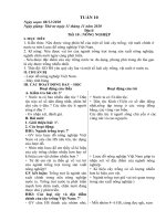 Giáo án lớp 5 Tuần 10 - Địa lí