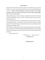 (Luận văn thạc sĩ) Nghiên cứu phương pháp thi công tường trong đất có neo ứng dụng xây dựng kè chống sạt lở tiêu úng thoát lũ hạ lưu sông Hà Thanh, thành phố Quy Nhơn