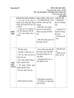 Giáo án tuần 30 chủ đề Quê hương - Đất nước - Bác Hồ