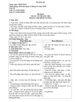 giáo án Mĩ thuật - kĩ thuật lớp 1 2 3 4 5 - Tuần 19 (2019 - 2020)