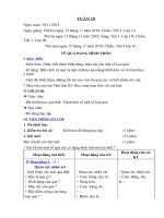 Giáo án mĩ thuật lớp 1 2 tuần 10