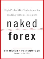 Naked forex trading without indicators