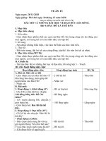 Giáo án lớp 3 Tuần 13 - Năm học 2020 - 2021