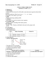 Giáo án Tiếng Anh lớp 4 - Tuần 19